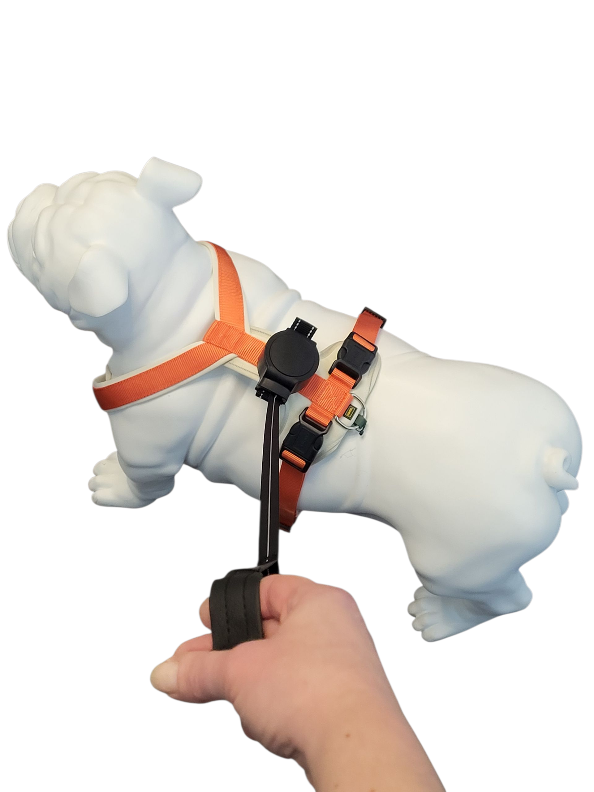 Thumbnail 4: doddle for dogs Leine schwarz für Hundegeschirr für große Hunde