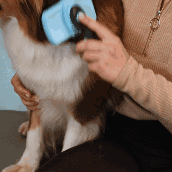 Thumbnail 3: BluePet Selbstreinigende Zupfbürste mit Pins, Hundebürste & Katzenbürste für Langhaar, ZupfZeug 2.0 mit Reinigungsknopf für die tägliche Anwendung