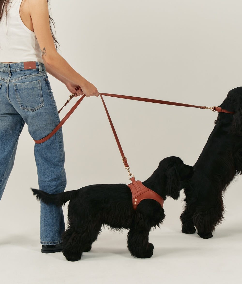 Thumbnail 3: CAFIDE Multipositions-Hundeleine aus Veganem Leder, Jala