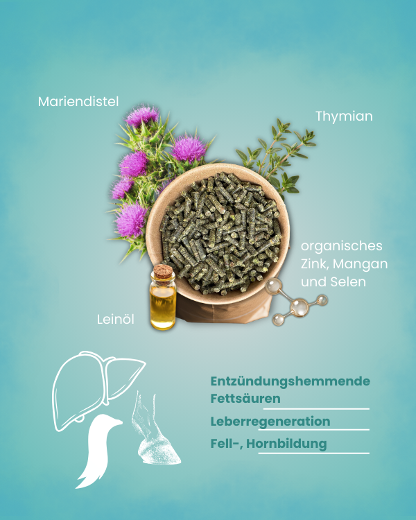 Thumbnail 4: Krähenbusch® Krähenbusch® Mineralfutter Organisch