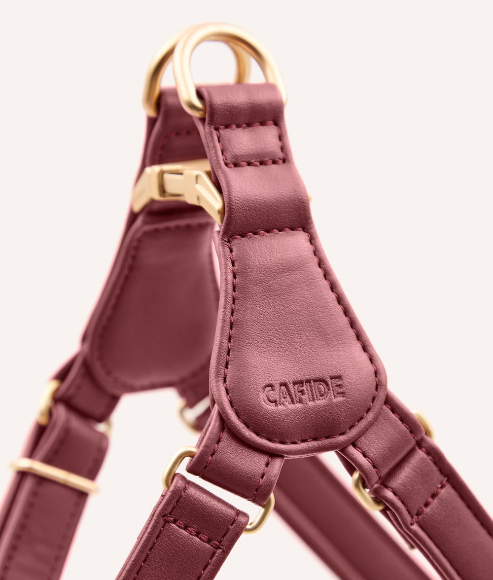 Thumbnail 3: CAFIDE Hundegeschirr aus Veganem Leder, Jala