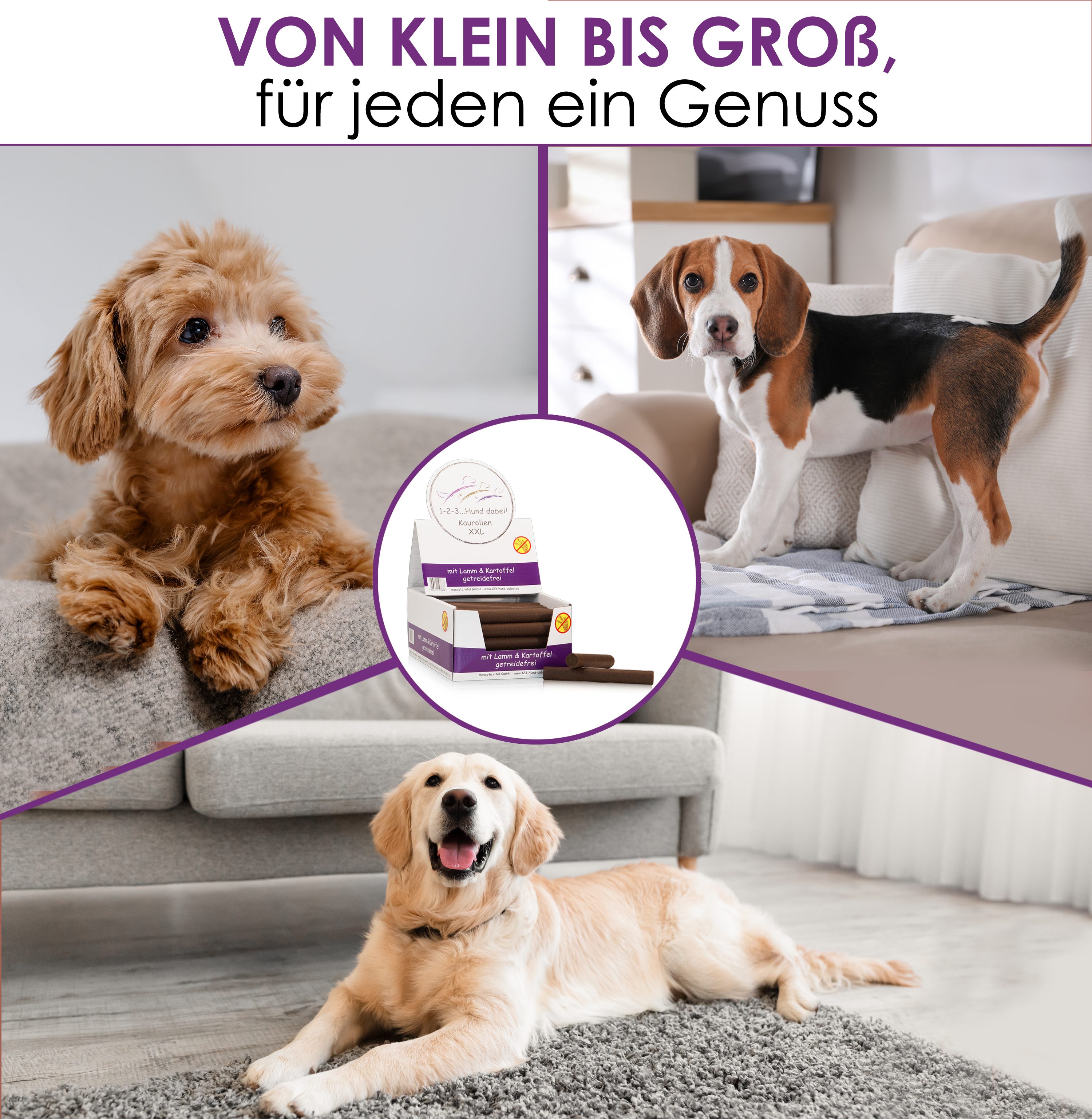 Thumbnail 7: 123… Hund dabei! Kaurollen XXL Lamm+Kartoffel getreidefrei