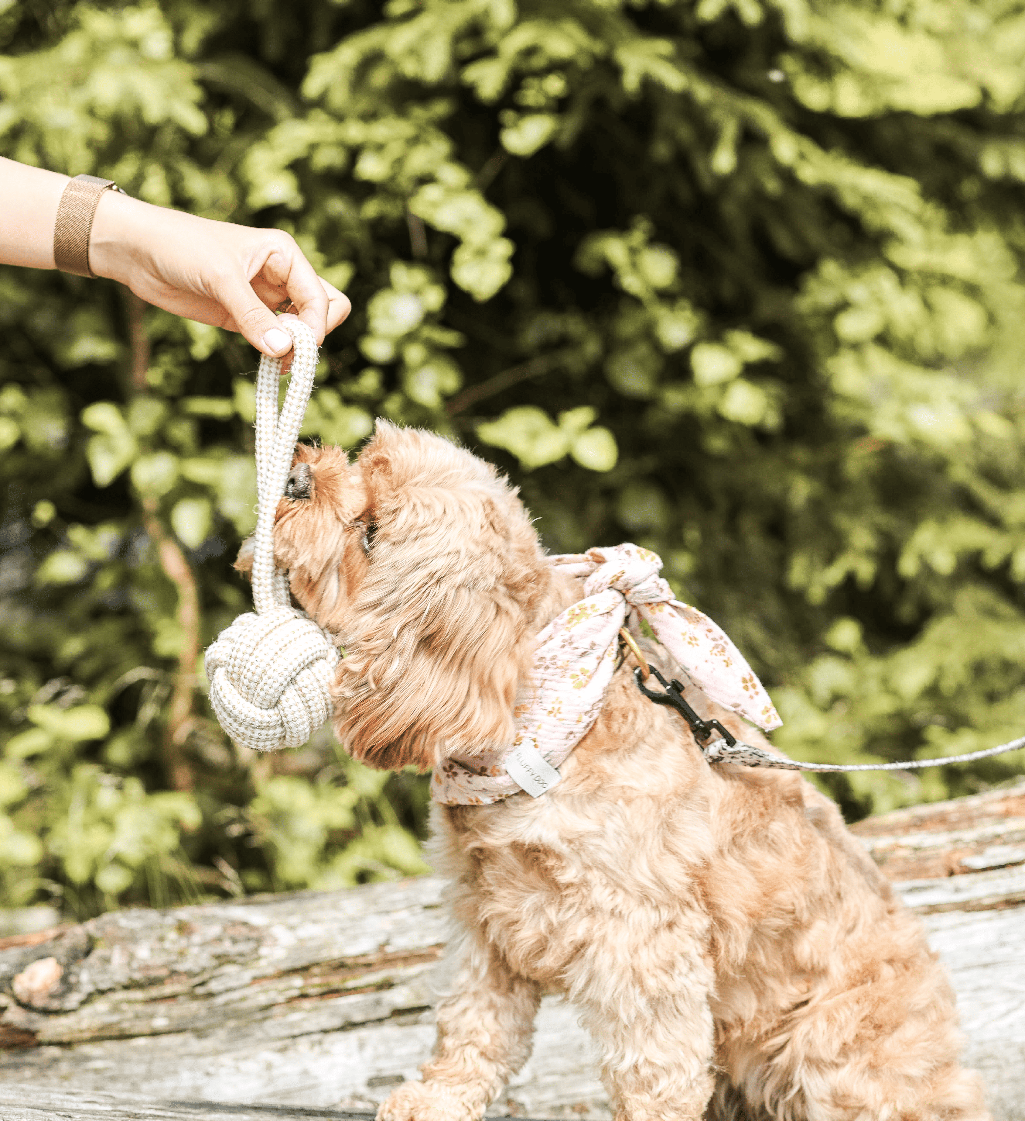 Thumbnail 2: Fluffy Dog Tau-Spielzeug für Hunde – robustes Zerr- & Kauspielzeug, vegan & zahnfreundlich