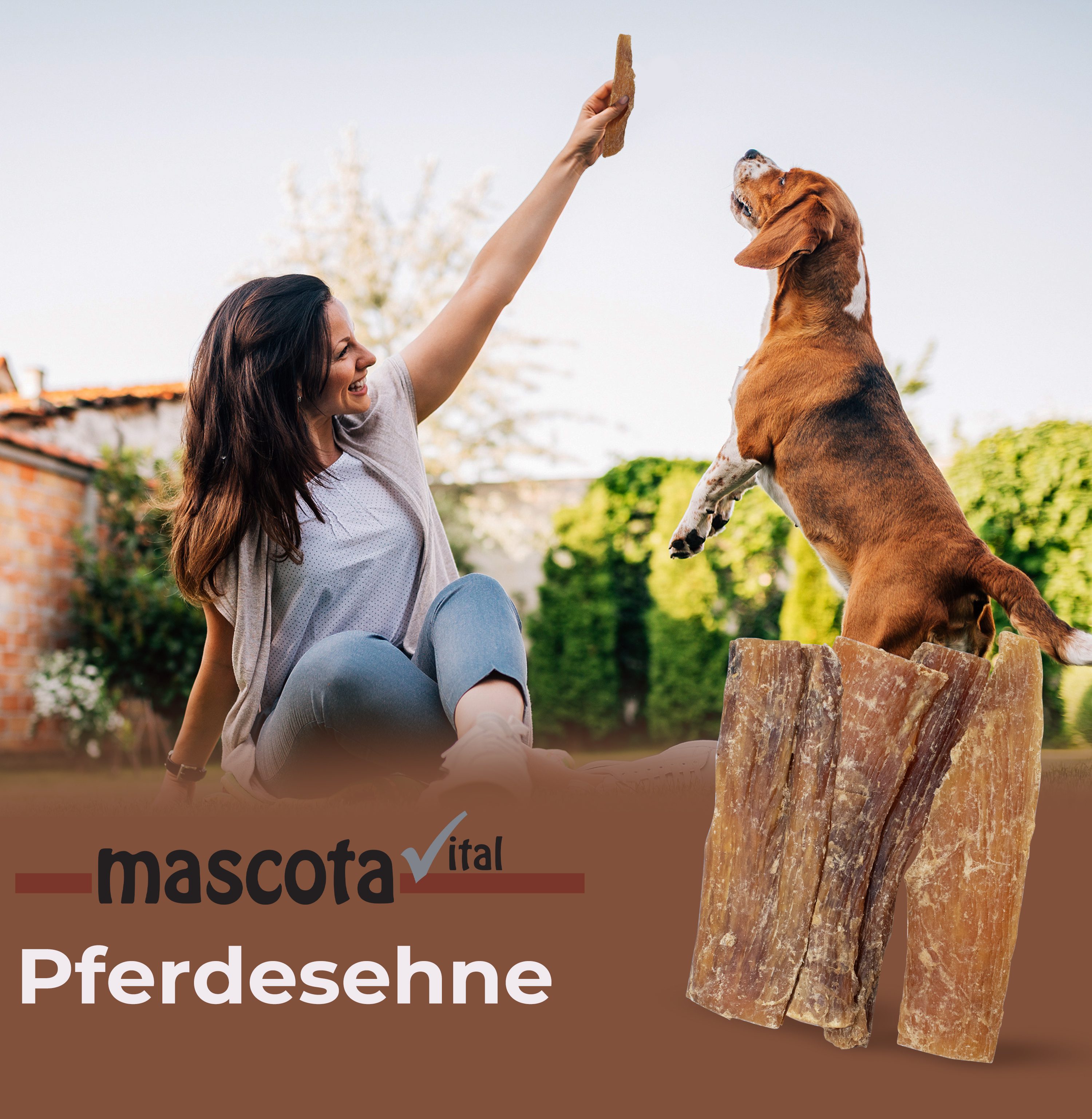 Thumbnail 7: mascota vital Pferdesehnen, natürlicher Kausnack für Hunde, Zahnpflege Snack, 200 g