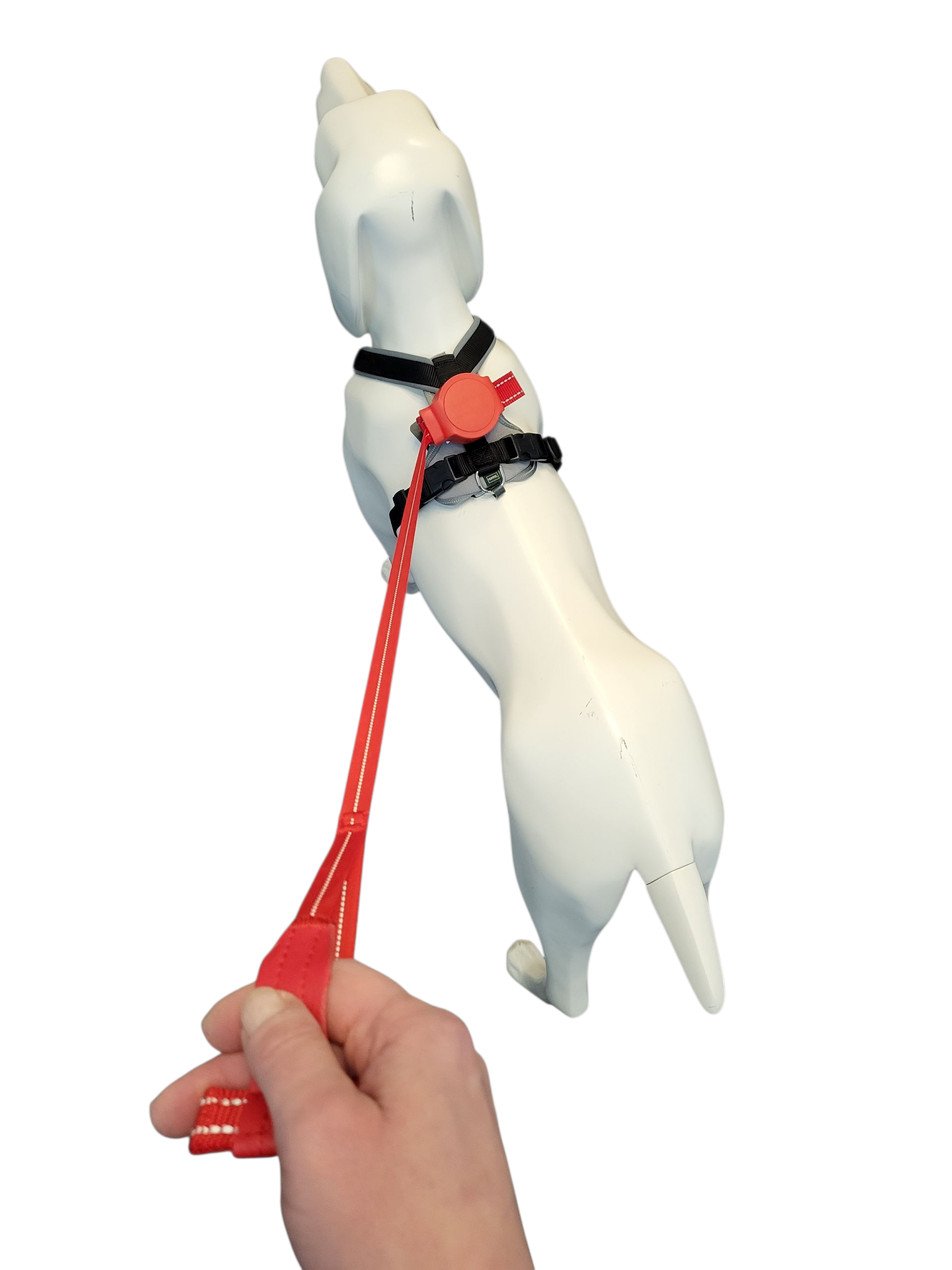 Thumbnail 2: doddle for dogs Leine rot für Hundegeschirr für große Hunde