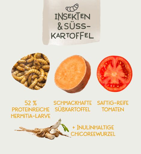 Thumbnail 6: Milo & Mia Nassfutter für Hunde Sensitiv - magenschonendes Hundefutter für Hunde mit Magen-Darm-Problemen, weizenfreie Zutaten: Insekten & Süßkartoffel (24x400g)