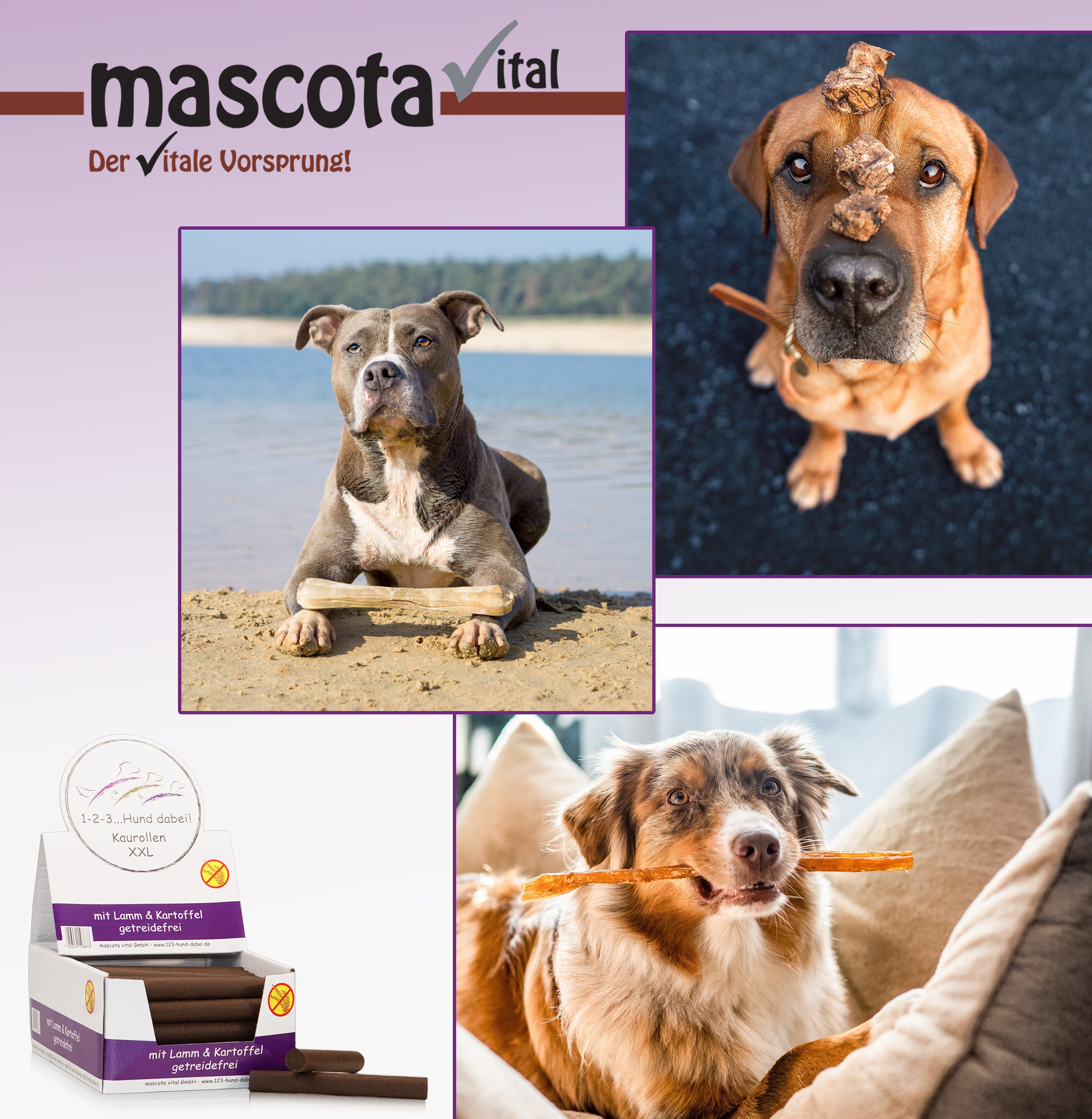 Thumbnail 2: 123… Hund dabei! Kaurollen XXL Lamm+Kartoffel getreidefrei