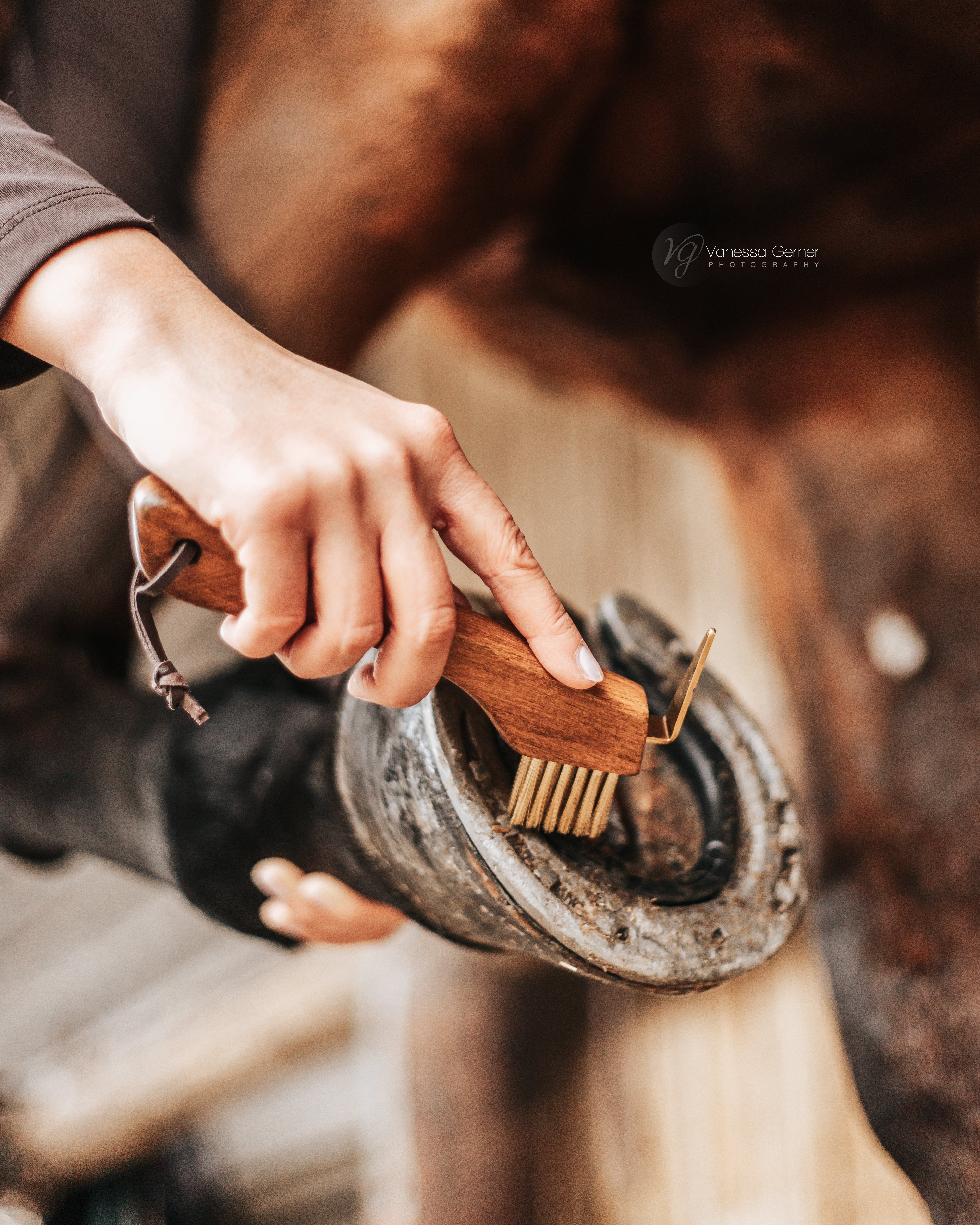 Thumbnail 1: Equimour Hufkratzer "LILO"