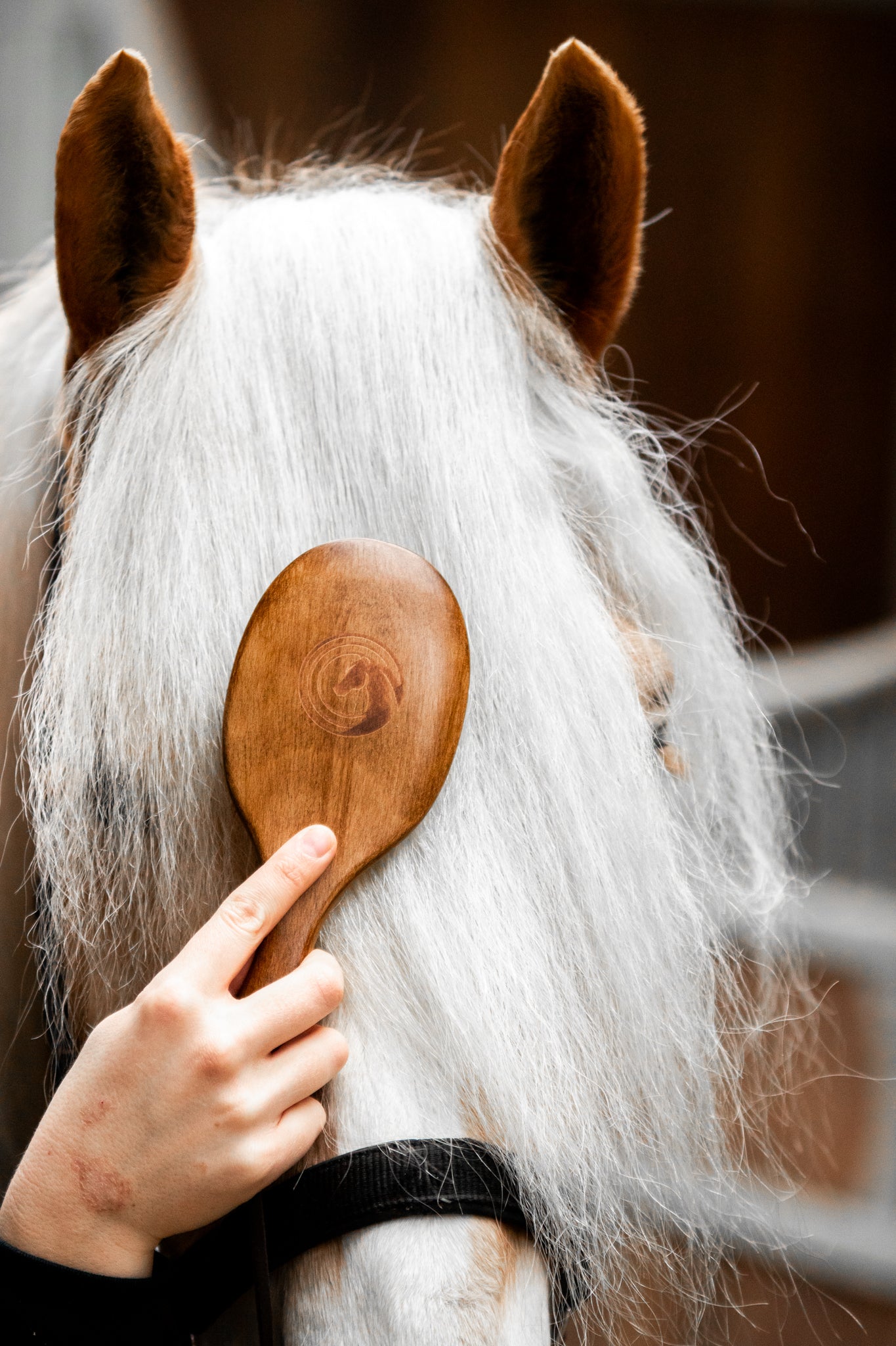 Thumbnail 12: Equimour Mähnenbürste "VIDI"