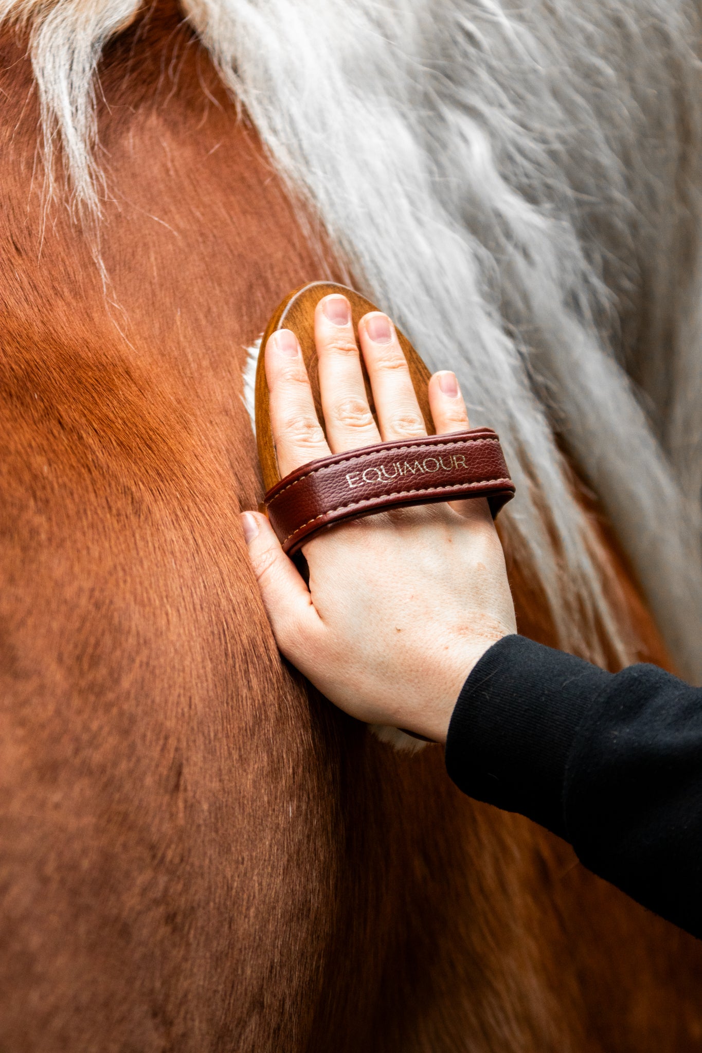 Thumbnail 8: Equimour Ziegenhaar-Glanzbürste "MO"