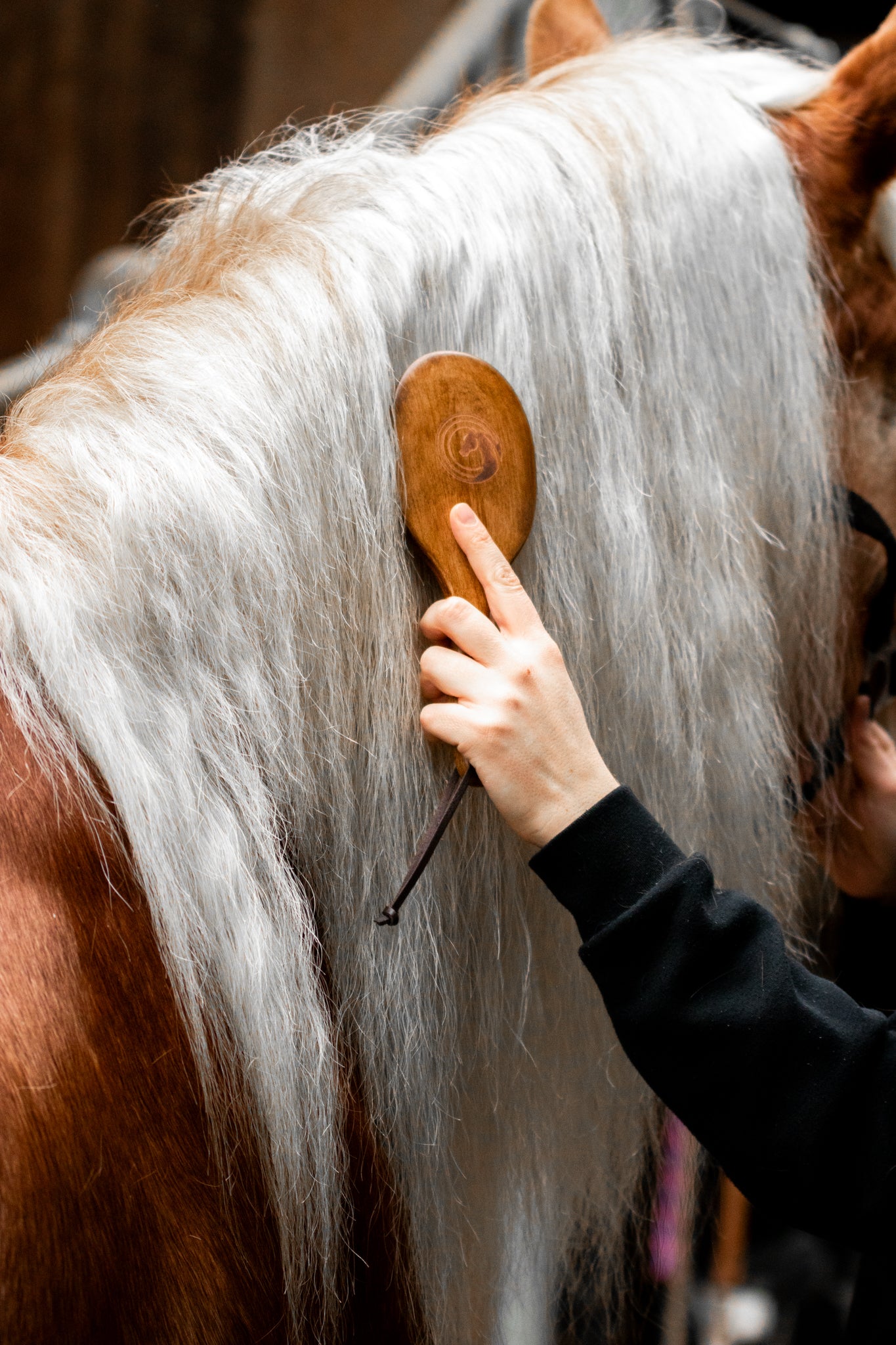 Thumbnail 7: Equimour Mähnenbürste "VIDI"