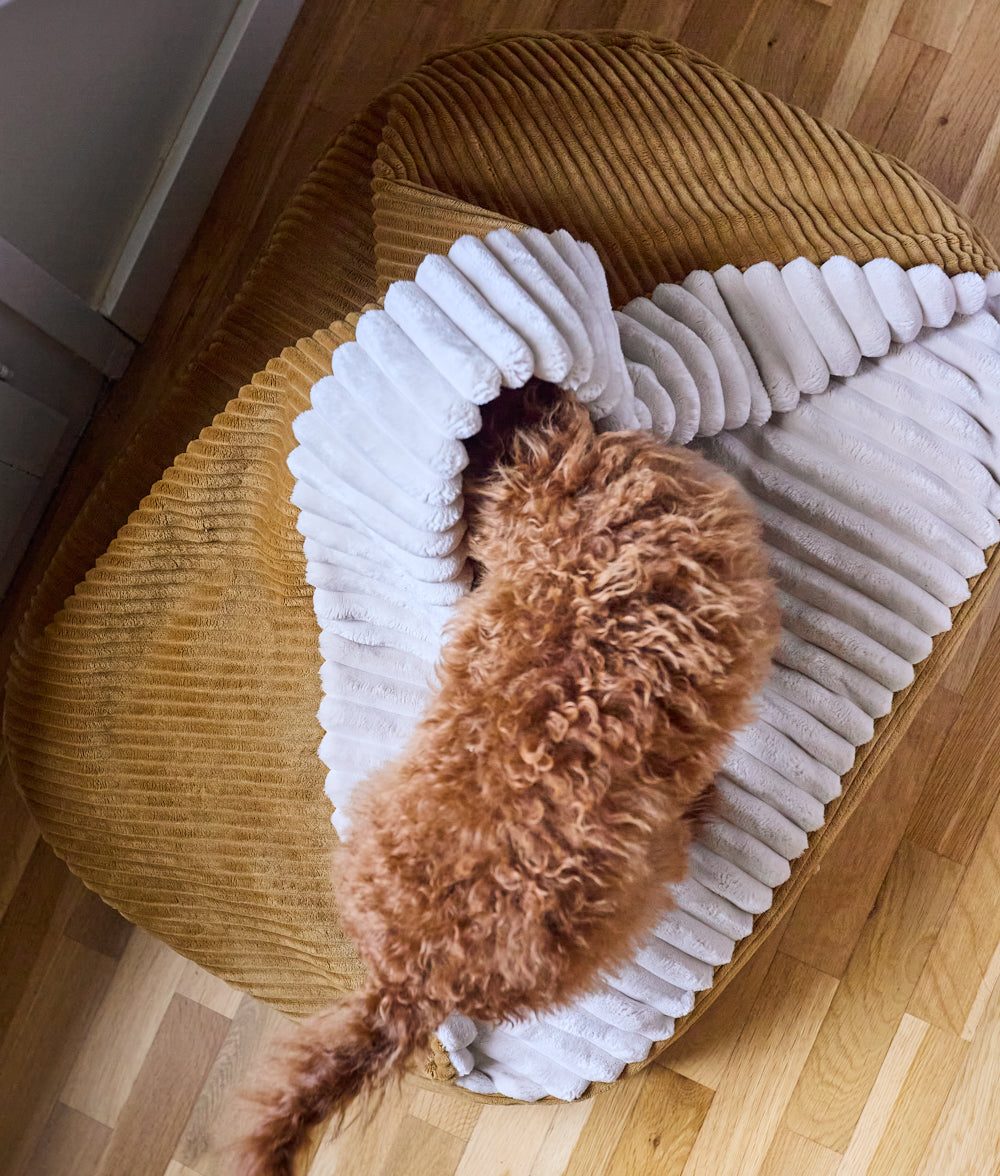 Thumbnail 4: CAFIDE Hundebett mit Kapuze aus Cord, Maso