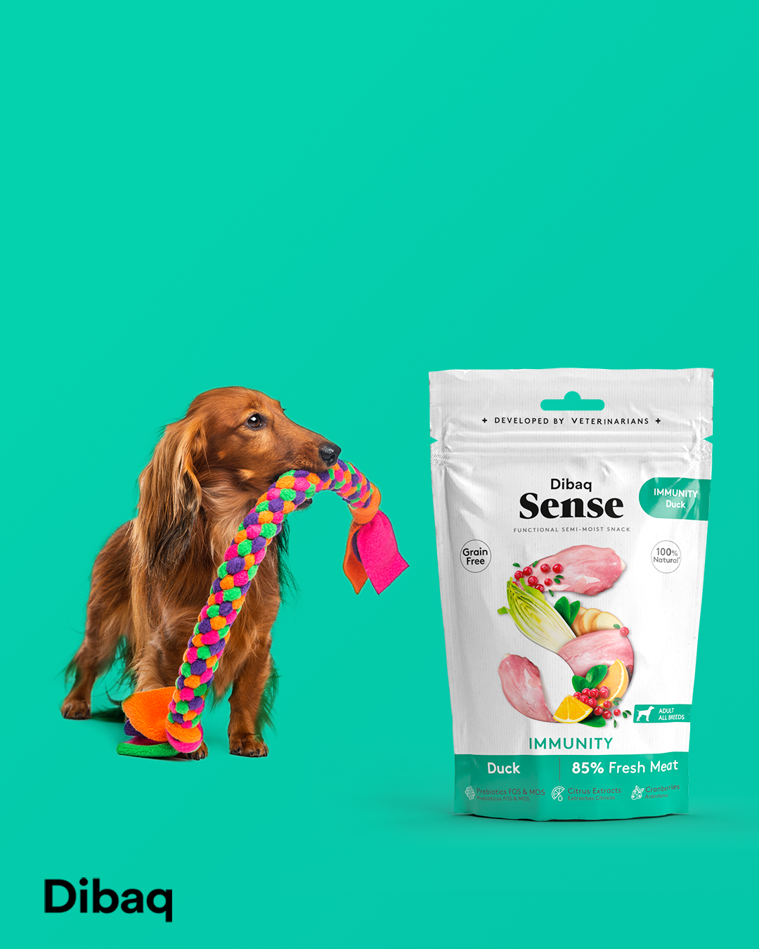 Bild 1 von 1: Dibaq Sense funktionaler Snack Immunität Ente 100g