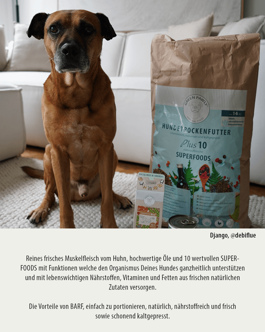 Thumbnail 4: GREEN PAWLY Complete HUHN plus 10 Superfoods