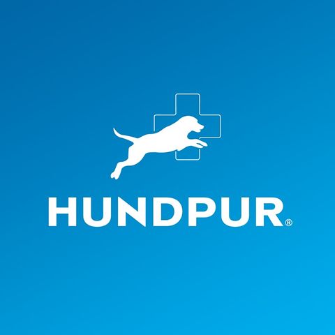 Hundpur