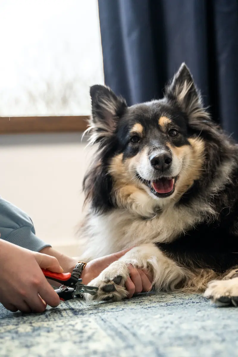 Thumbnail 7: Greenhero Krallenschere für Hunde und Katzen