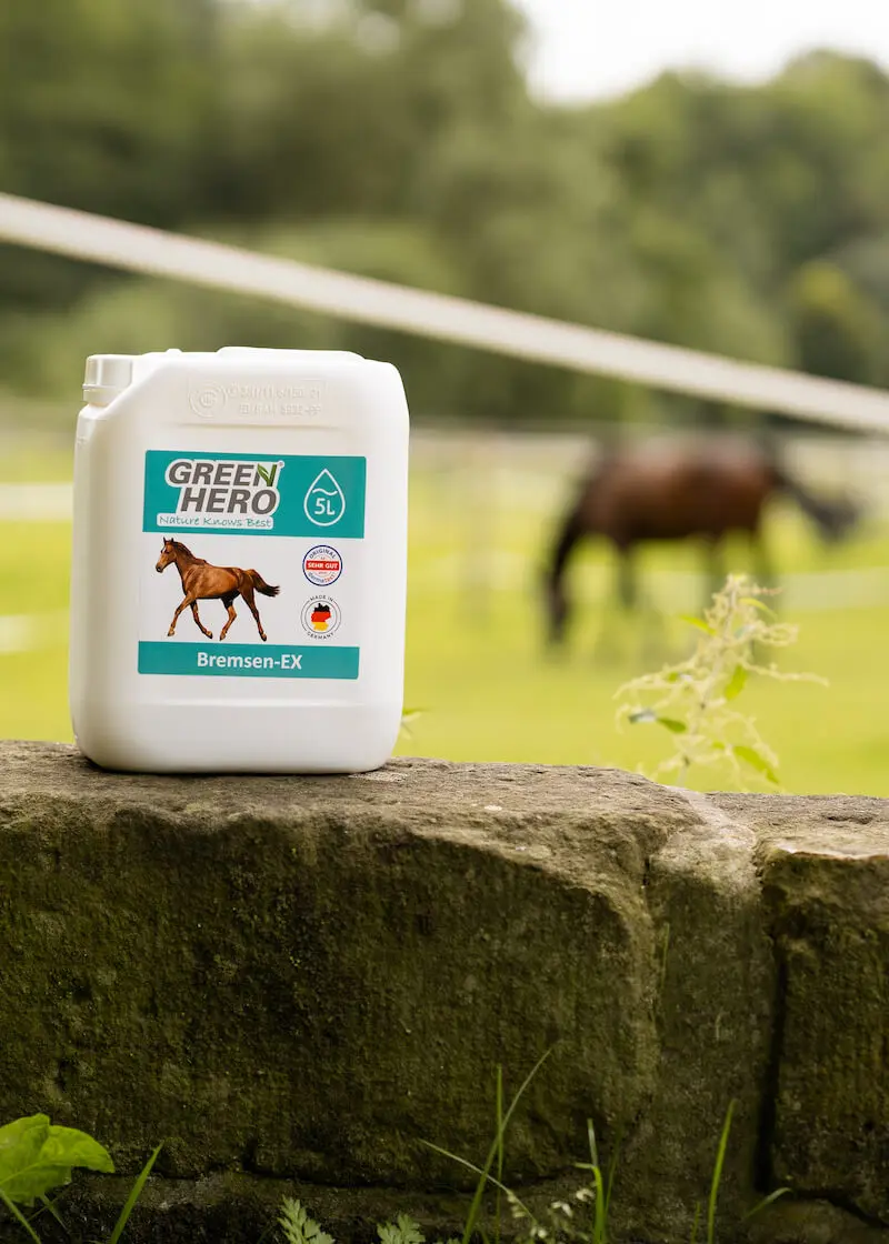 Thumbnail 3: Greenhero Bremsen-Ex Kanister