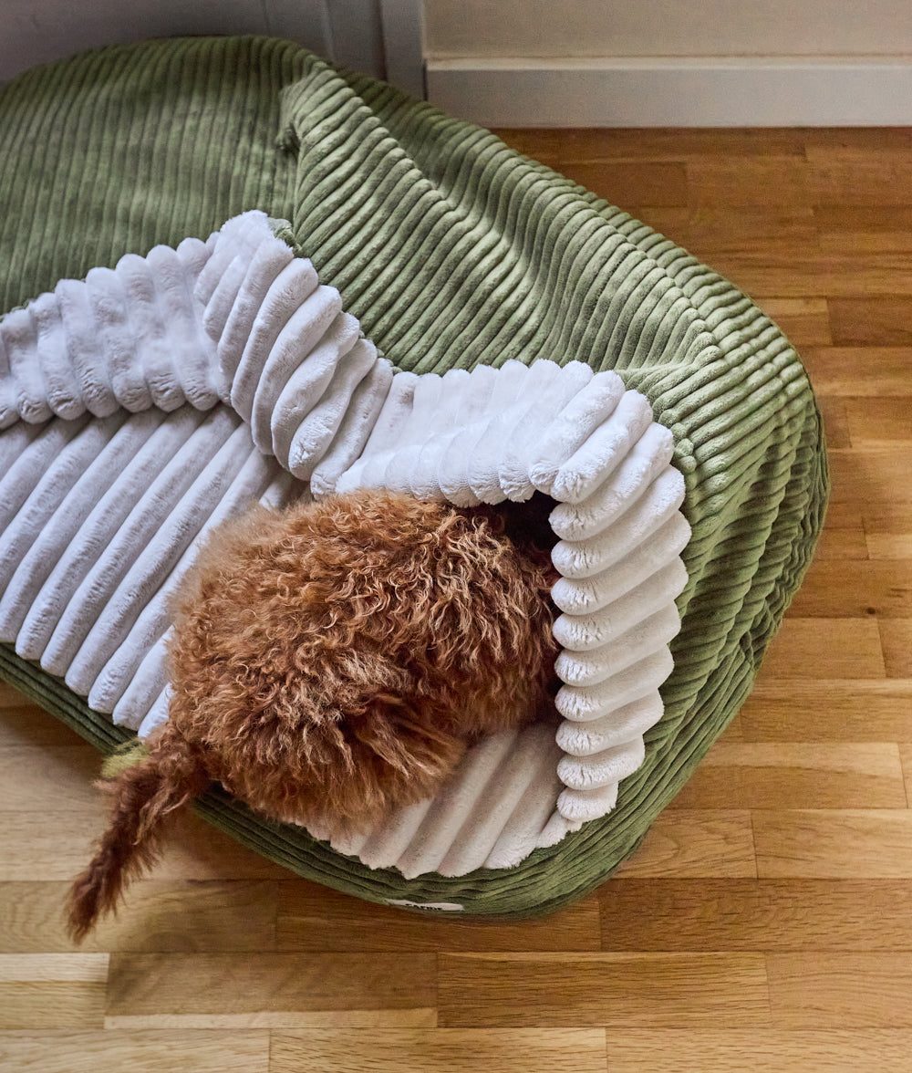 Thumbnail 2: CAFIDE Hundebett mit Kapuze aus Cord, Maso