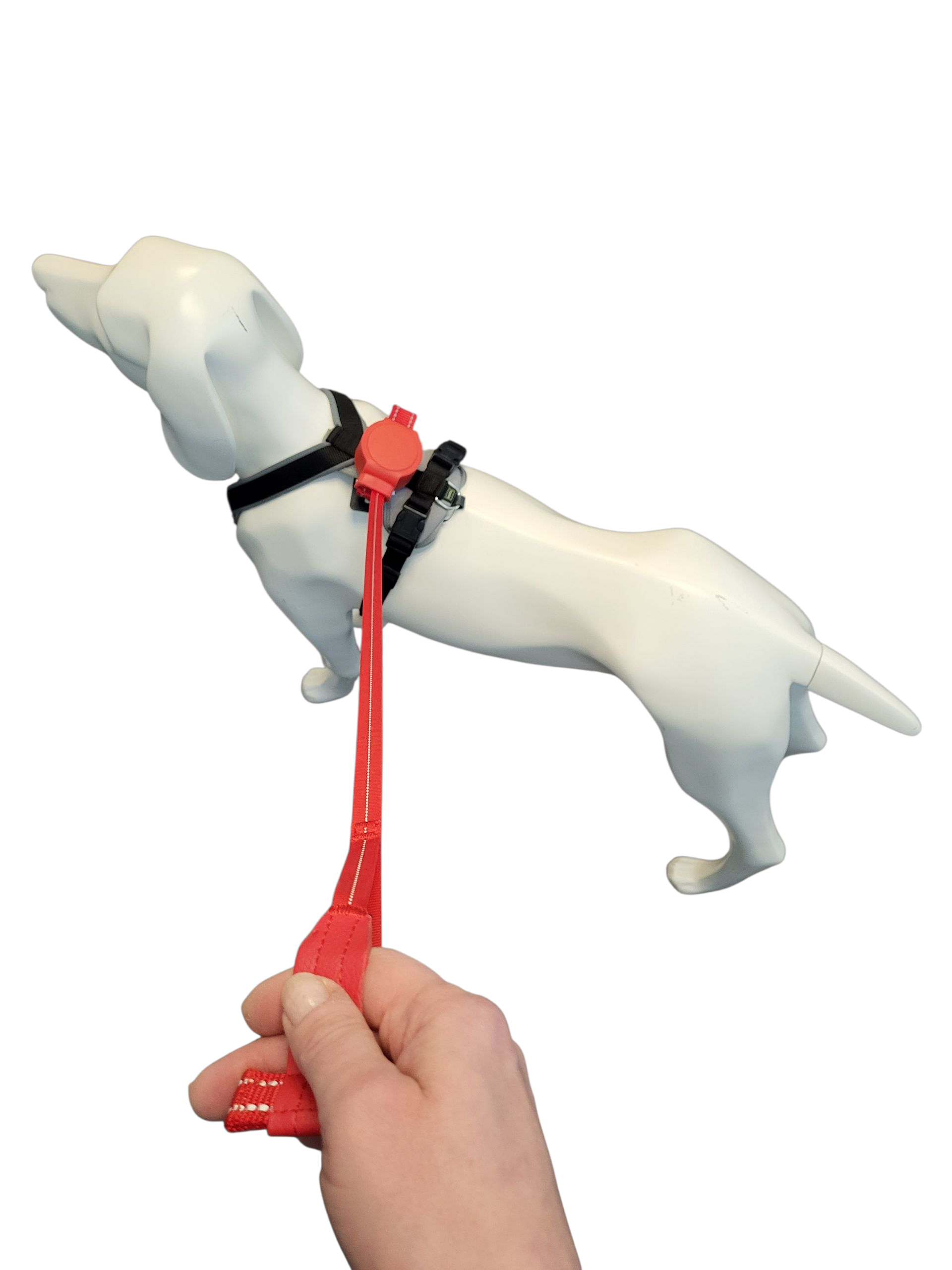 Thumbnail 3: doddle for dogs Leine rot für Hundegeschirr für große Hunde