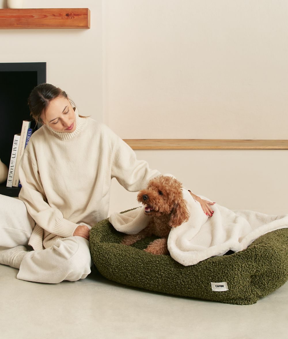 Thumbnail 4: CAFIDE Hundedecke, Toia