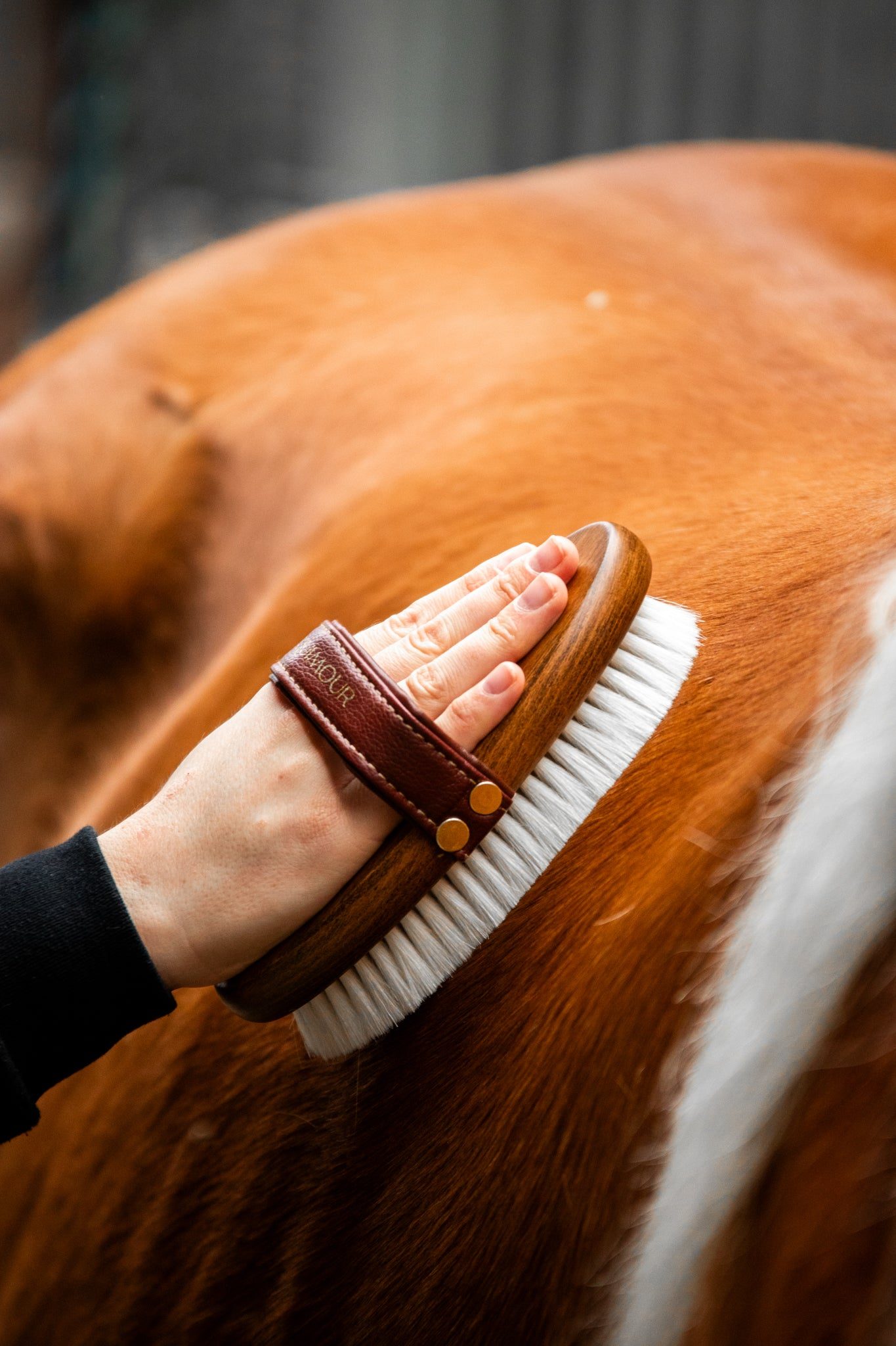 Thumbnail 11: Equimour Glanz-Duo SET