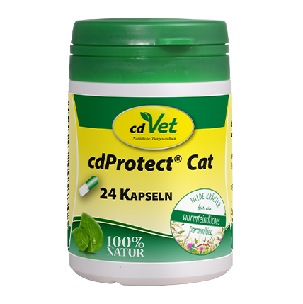 Thumbnail 1: cdVet cdProtect Cat 24 Kapseln – Natürliche Futterergänzung für Katzen