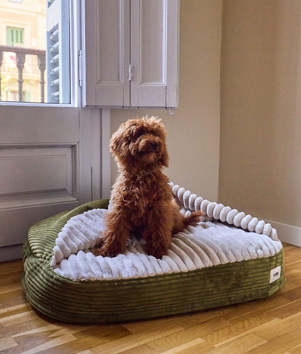 Thumbnail 3: CAFIDE Hundebett mit Kapuze aus Cord, Maso