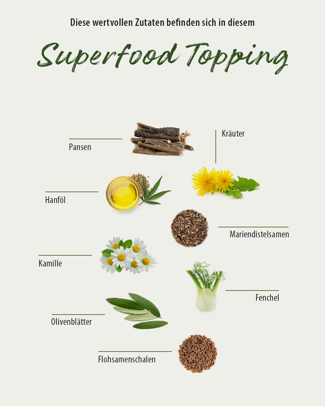 Thumbnail 6: GREEN PAWLY MAGEN-Freund