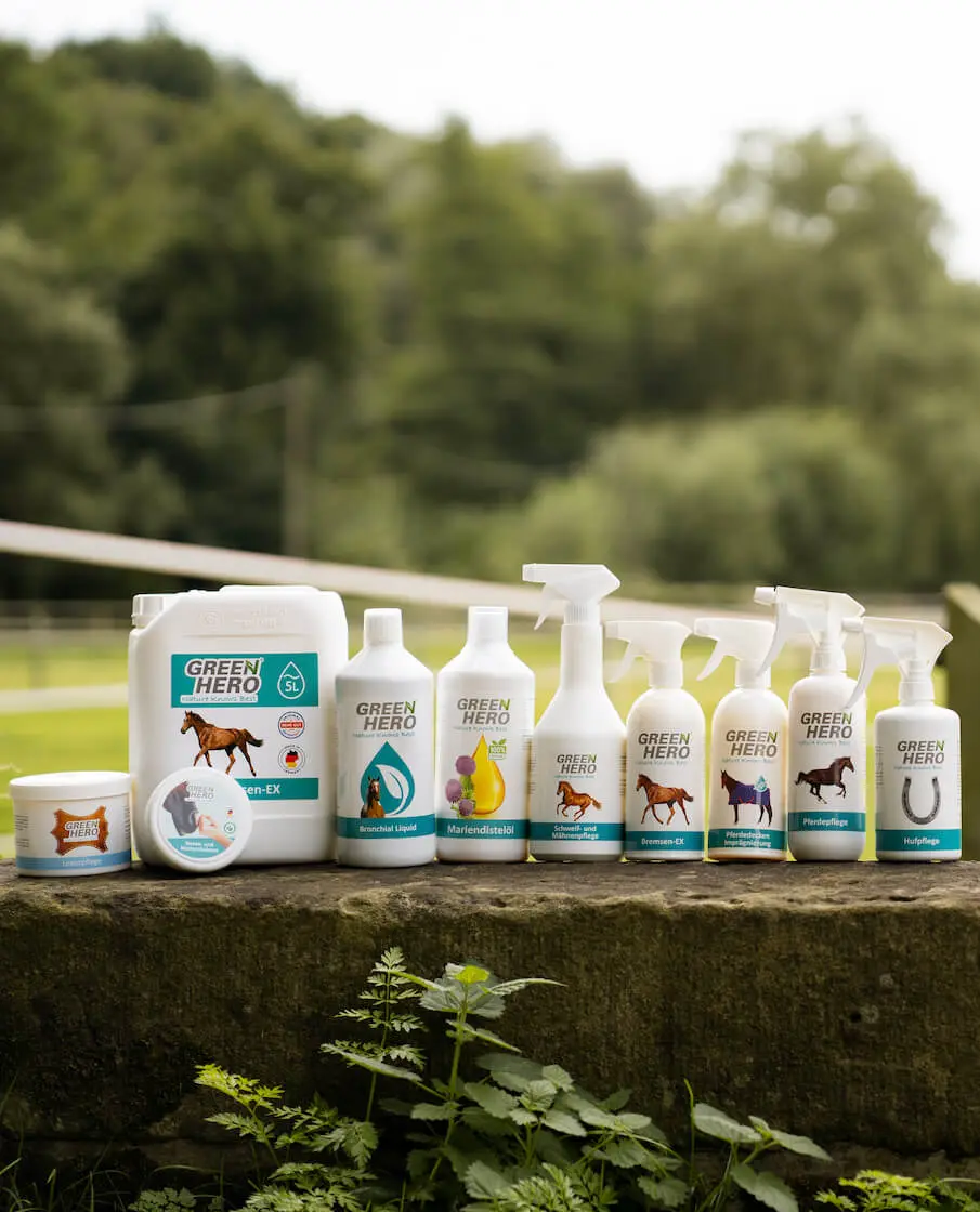 Thumbnail 2: Greenhero Bremsen-Ex Kanister