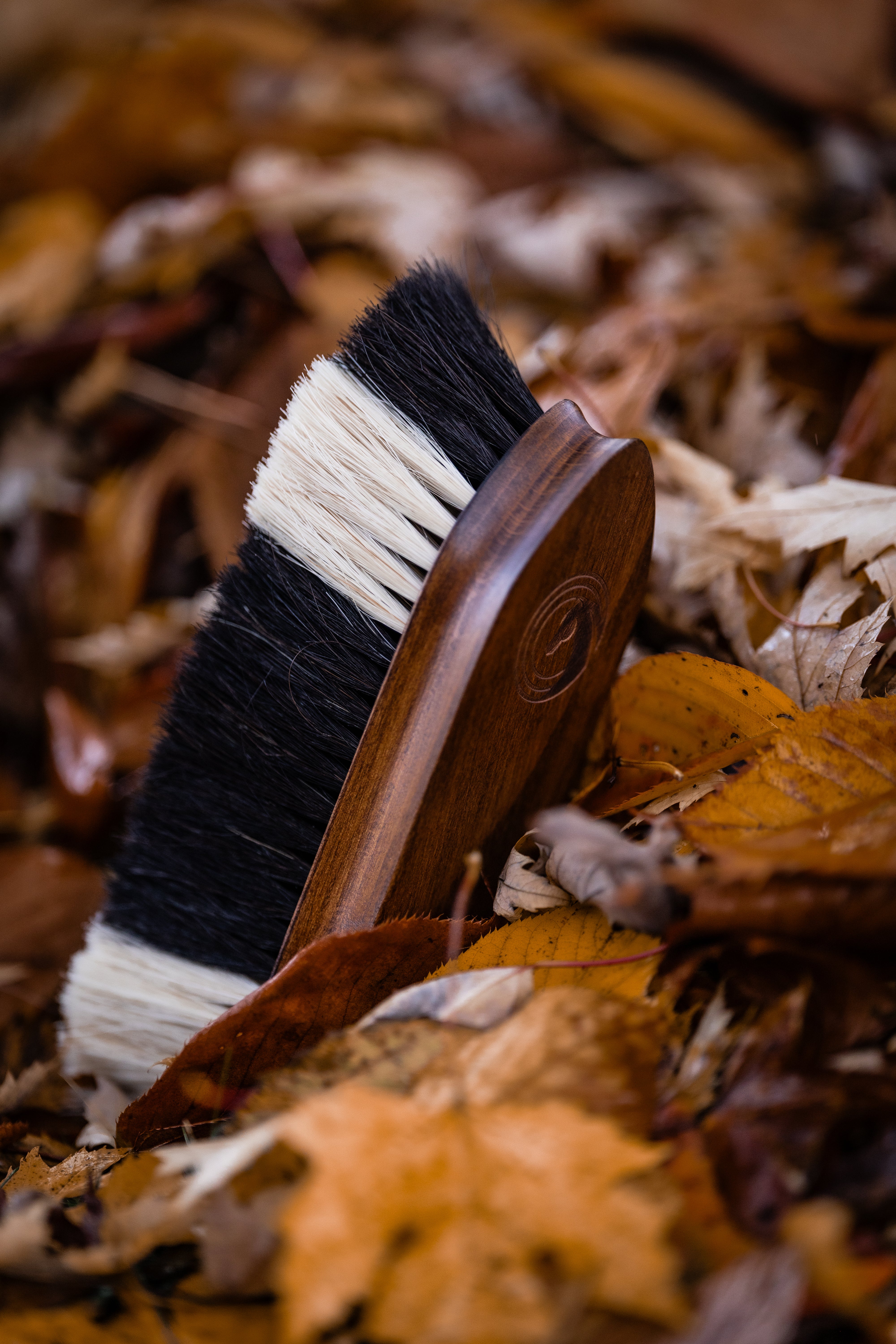 Thumbnail 10: Equimour Fellglanzbürste "FAVO"