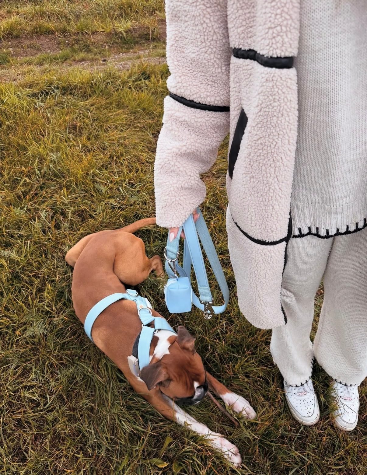 Thumbnail 5: SimplePets 3-in-1 Geschirr Set