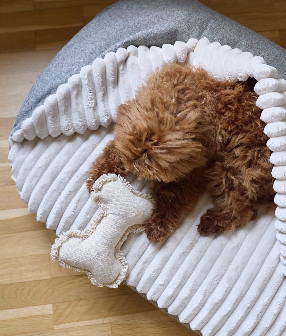 Thumbnail 5: CAFIDE Hundebett aus Chenille mit Kapuze, Maso