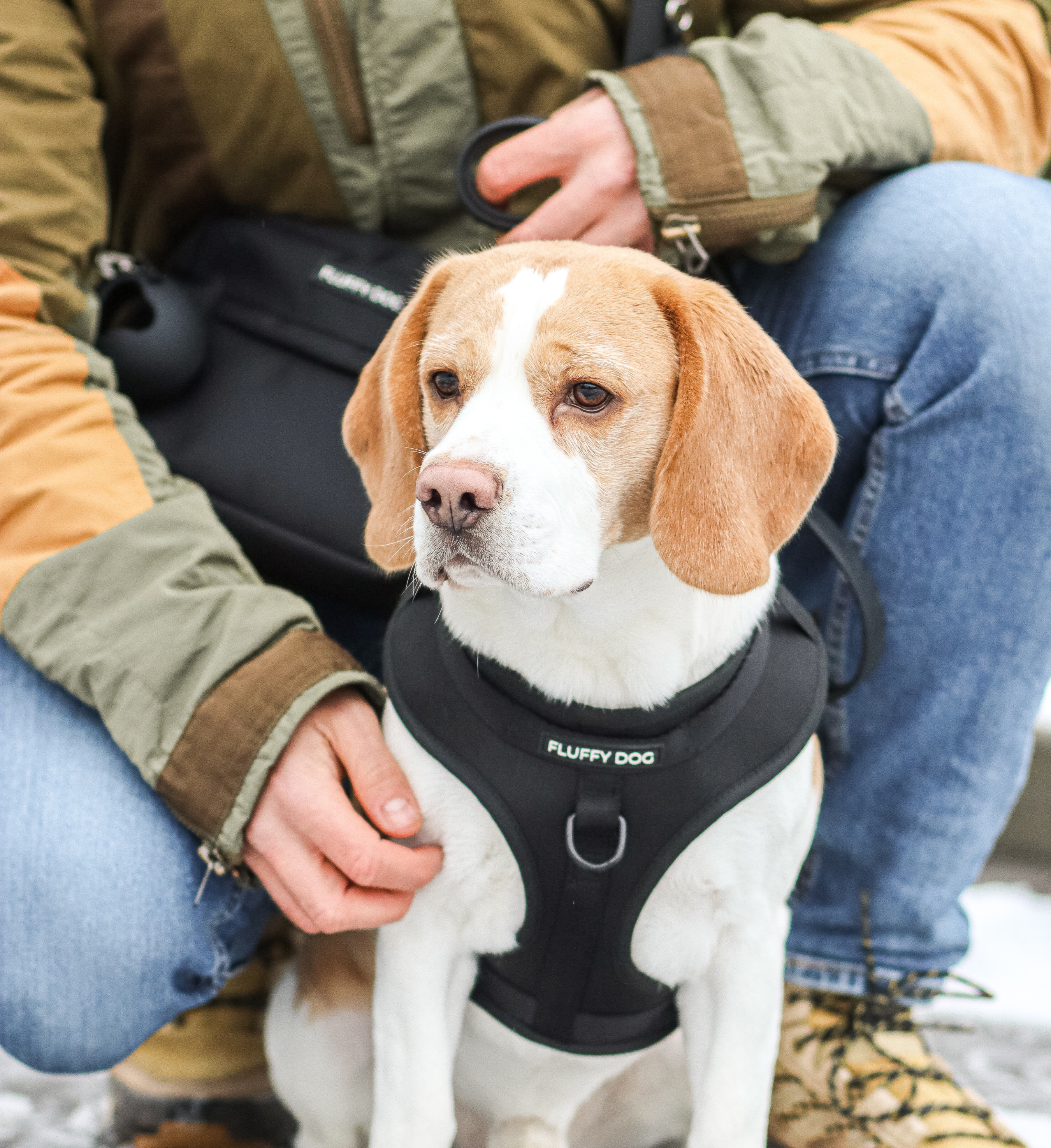 Thumbnail 2: Fluffy Dog Hundegeschirr „All Black“ – atmungsaktiv, vegan & verstellbar mit D-Ringen für flexible Leinenführung