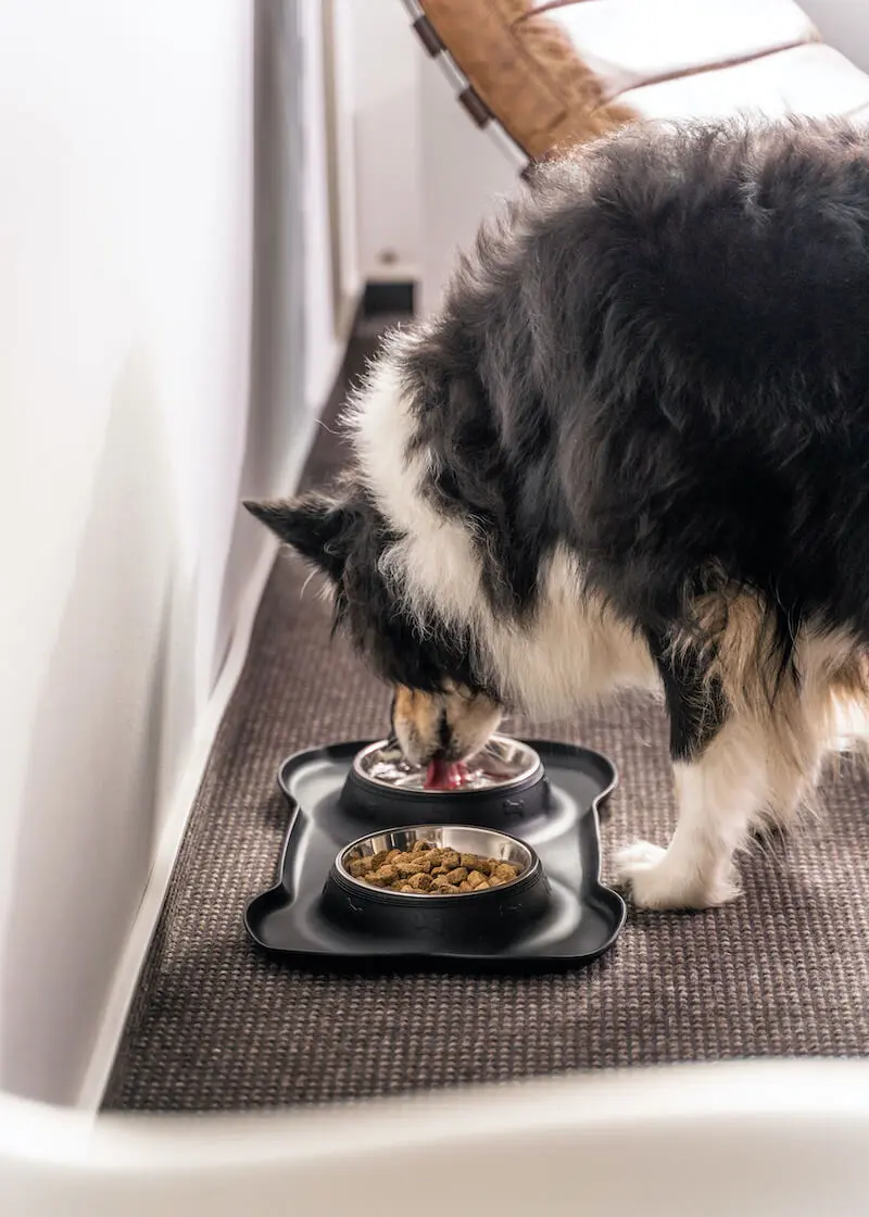 Thumbnail 2: Greenhero Futter- und Trinknapf mit Silikonmatte