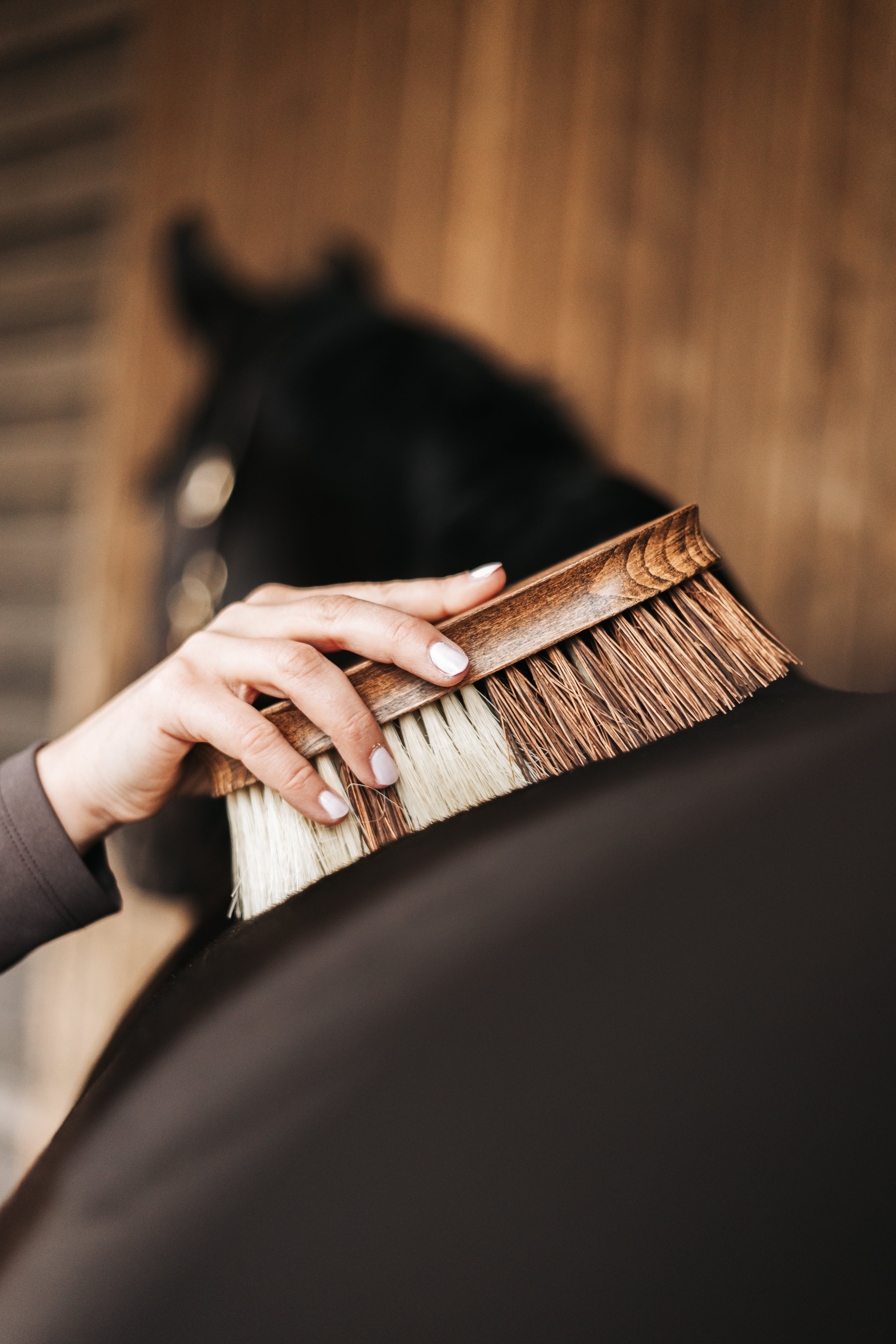 Thumbnail 10: Equimour Wurzelbürste "CARA"