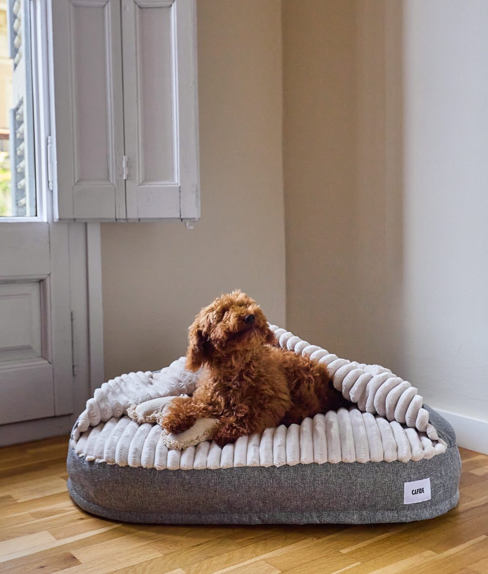 Thumbnail 6: CAFIDE Hundebett aus Chenille mit Kapuze, Maso