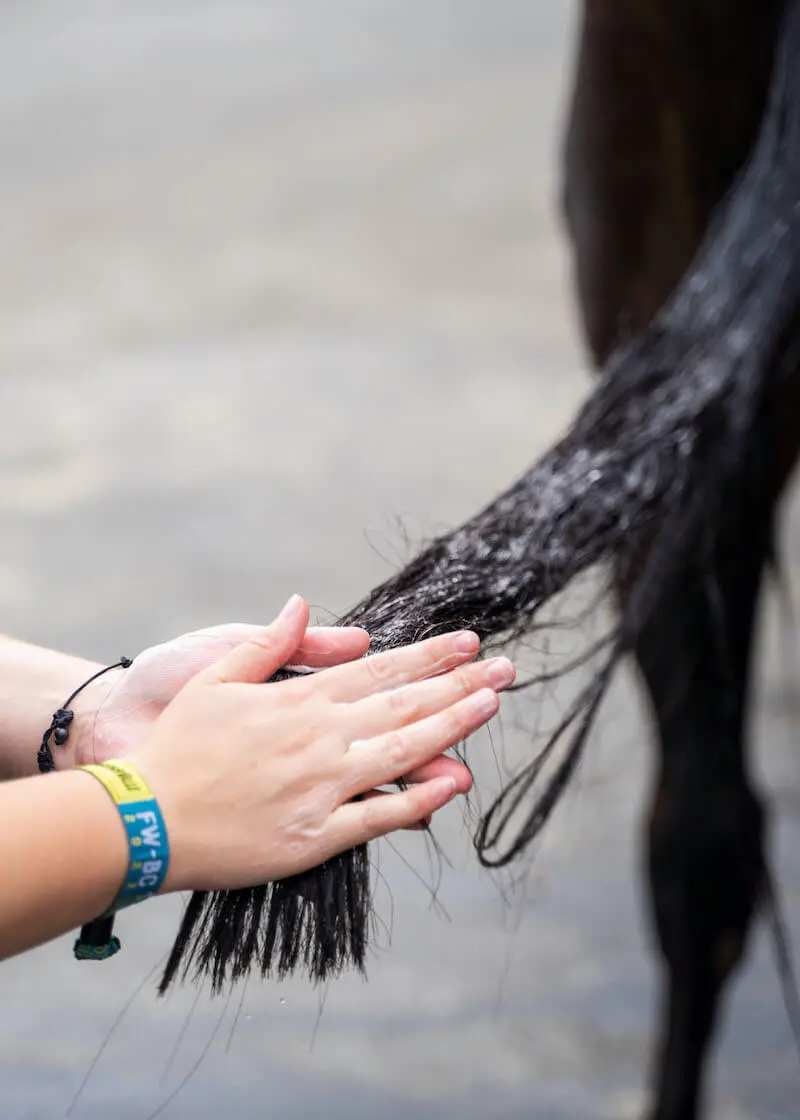 Thumbnail 6: Greenhero Pferdeshampoo Kokos