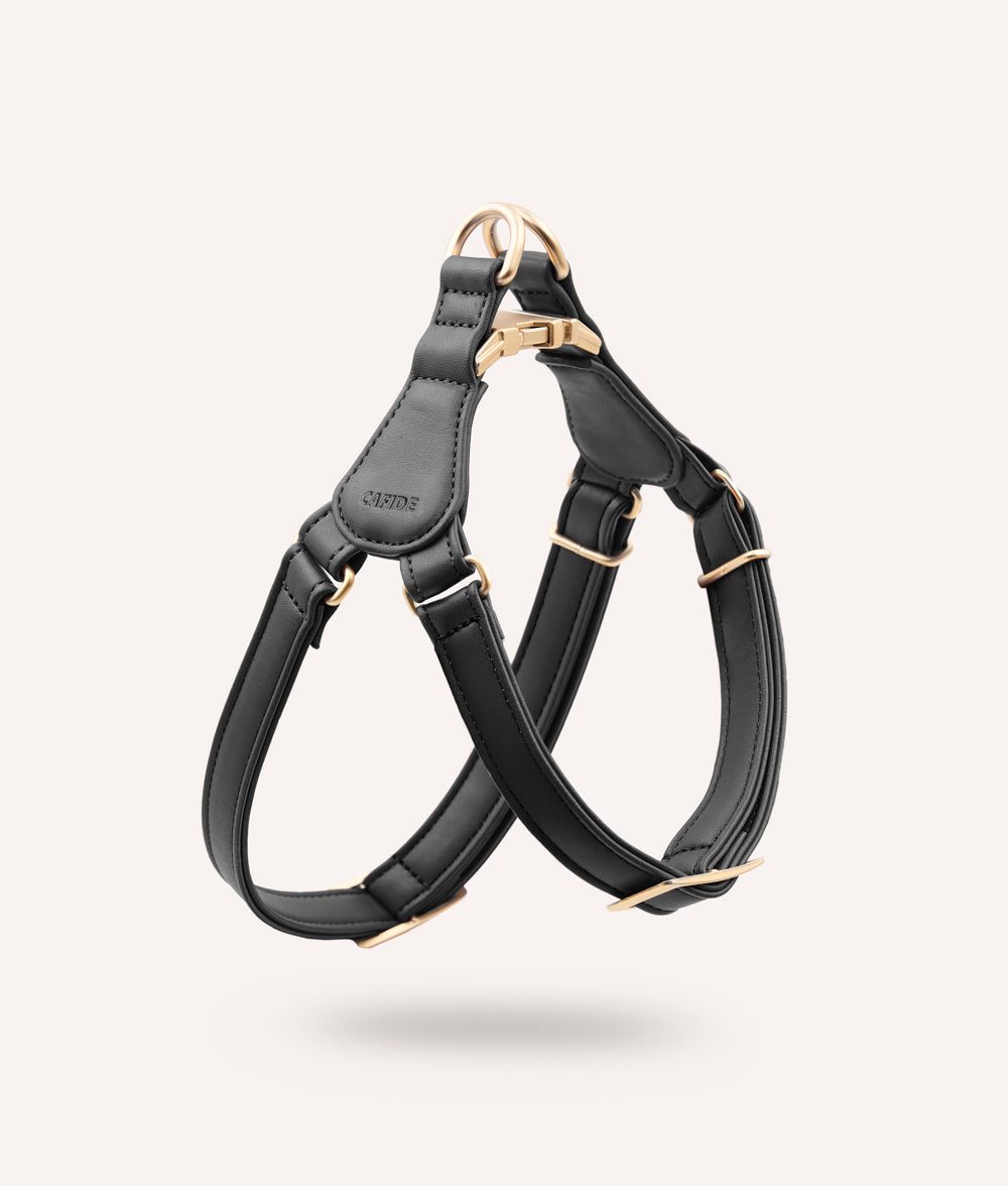 Thumbnail 1: CAFIDE Hundegeschirr aus Veganem Leder, Jala