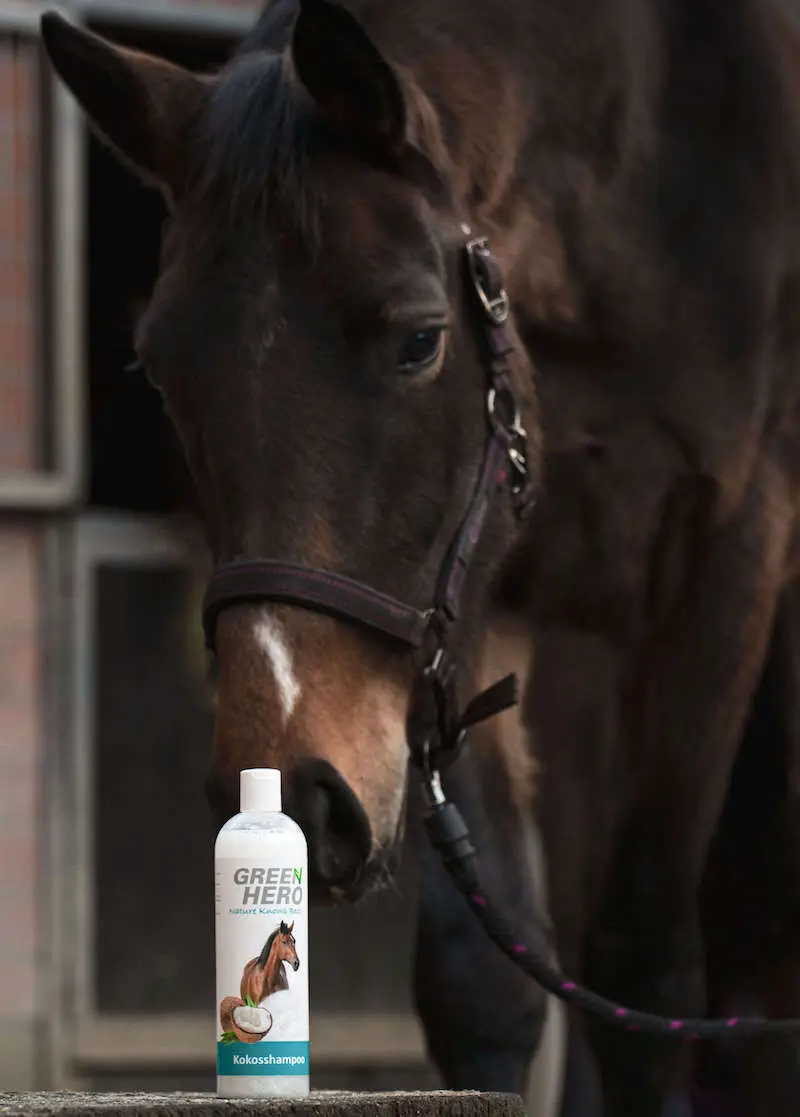 Thumbnail 8: Greenhero Pferdeshampoo Kokos