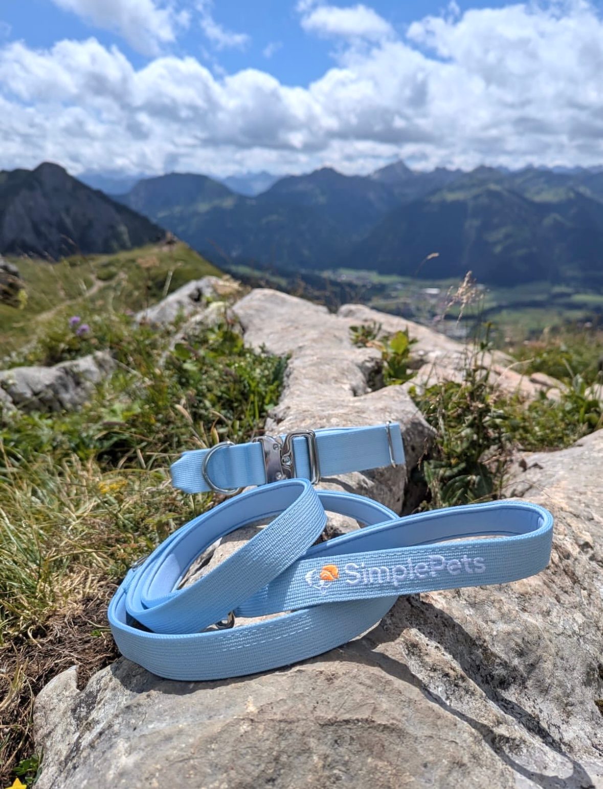 Thumbnail 3: SimplePets Sky Blossom