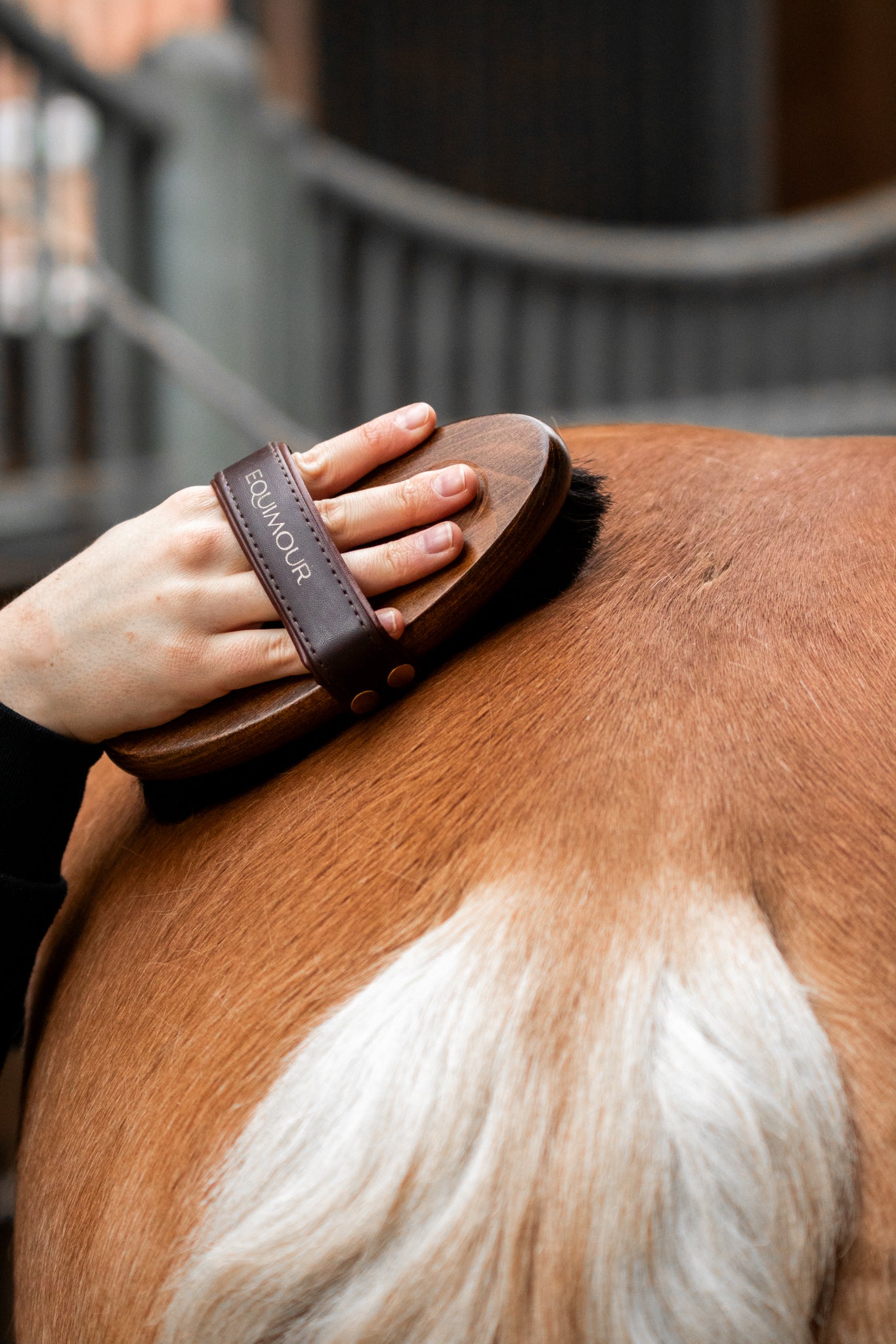 Thumbnail 1: Equimour Glanz-Duo SET