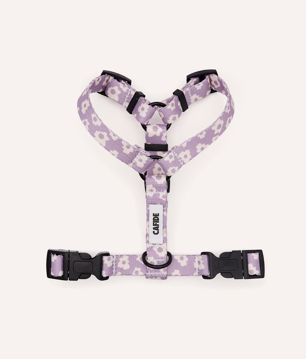 Thumbnail 2: CAFIDE Recyceltes PET-Geschirr, Juno