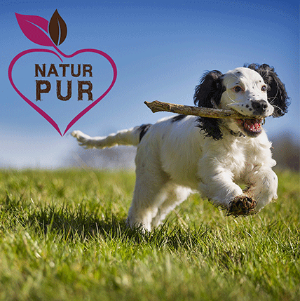 Thumbnail 2: Fit-CROCK® Active Lamm Mini 3 kg – für kleine bis mittelgroße Hunde mit hohem Energiebedarf