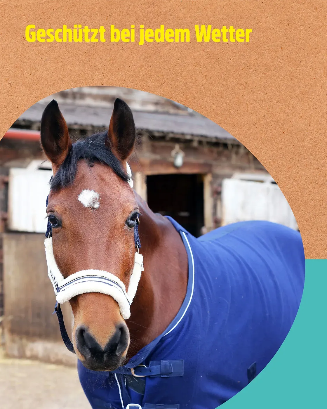 Thumbnail 3: Greenhero Green Hero Pferdedecken Imprägnierung