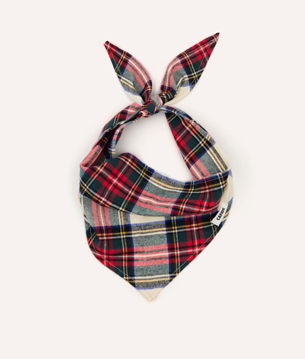 Thumbnail 1: CAFIDE Hundehalstuch, Nata