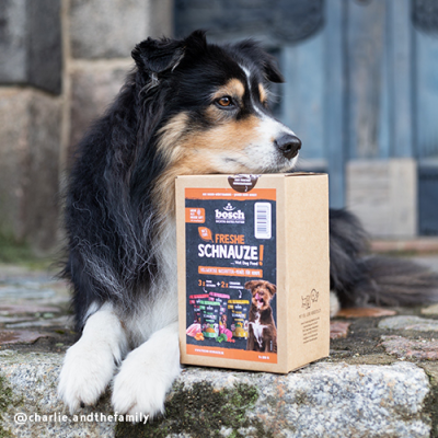 Thumbnail 3: bosch Tiernahrung Freshe Schnauze – proteinreich, sensible Hunde – 1,25kg