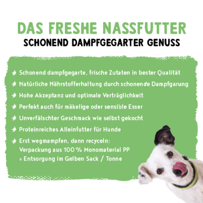 Thumbnail 5: bosch Tiernahrung Freshe Schnauze Pute mit Quinoa & Spinat 12er Pack