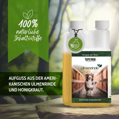 Thumbnail 12: TJURE TJURE - Ulmenrinde Liquid | Naturkraft für ein gutes Bauchgefühl 1000 ml