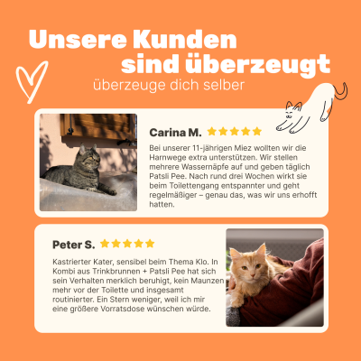 Thumbnail 2: Patsli Funktionaler Katzensnack zur Unterstützung der Harnwege und Blasengesundheit – entwickelt für den täglichen Bedarf