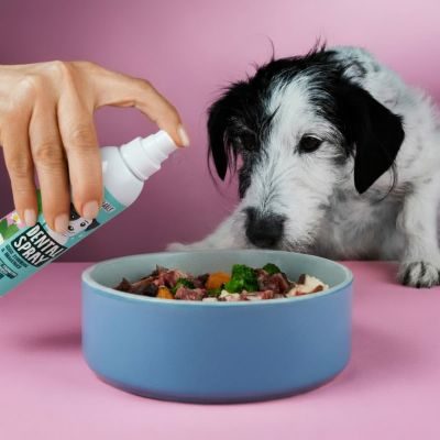 Thumbnail 4: Tierliebhaber Dentalspray für Hunde - Gesunde Zähne & frischer Atem. Mit probiotischen Mikroorganismen gegen Zahnsteinbildung